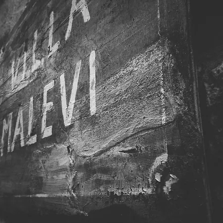 Malevi